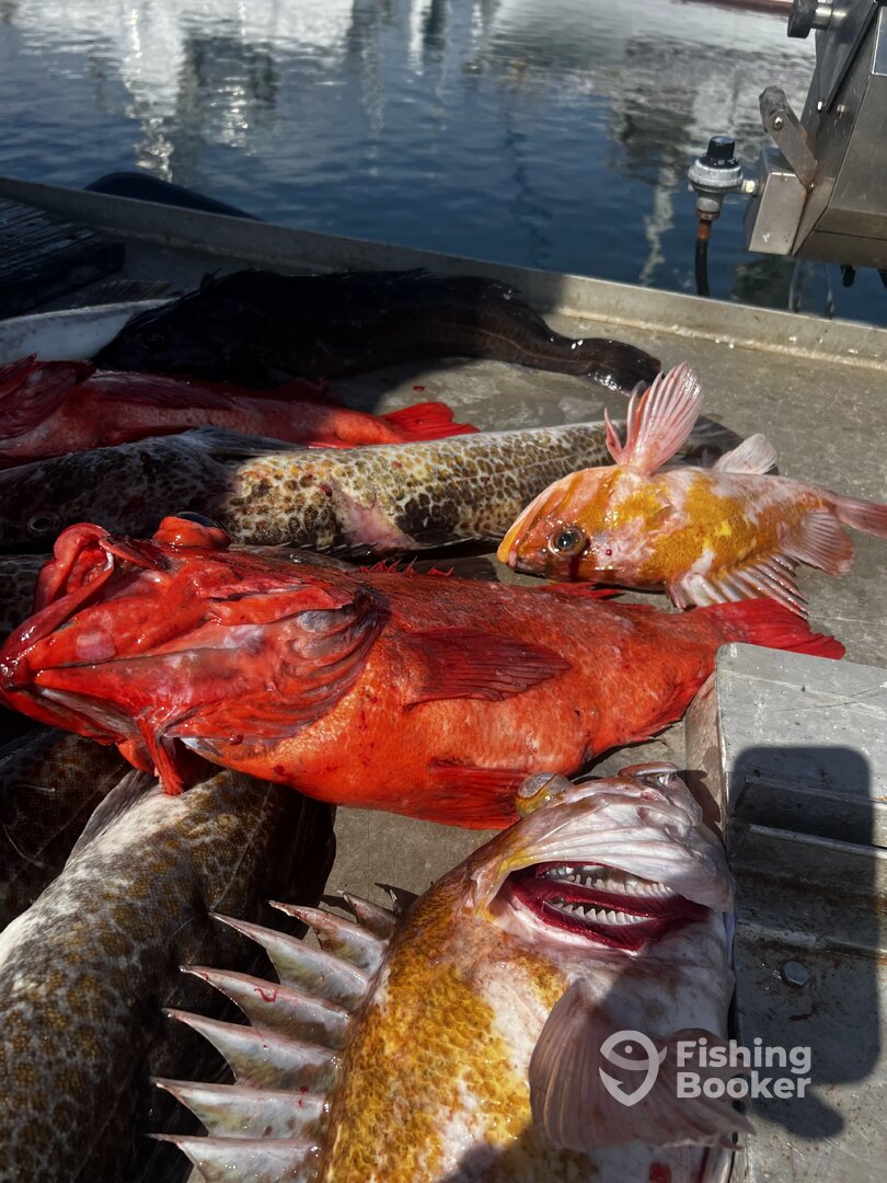 Ucluelet Report Photo 0
