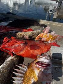 Big water. Big boat .big limits.