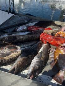 Ucluelet Report Photo 2