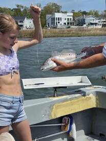 Virginia Beach Report Photo 2