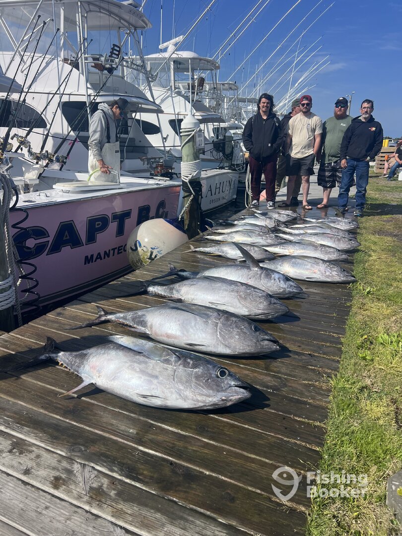 Nags Head Report Photo 0