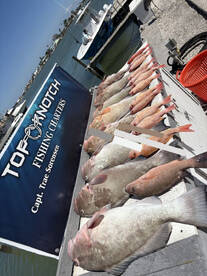 Madeira Beach Report Photo 1