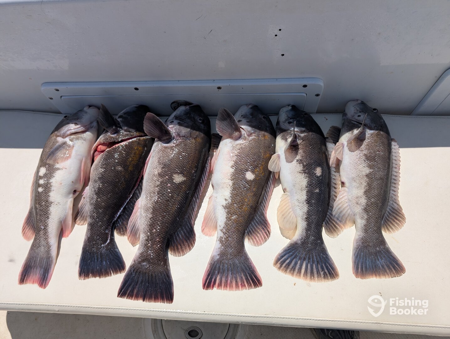 Ocean City Report Photo 0