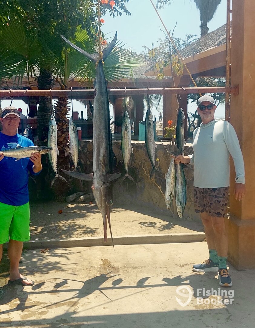 San Jose del Cabo Report Photo 0