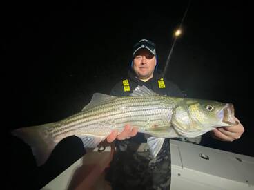 Bite turned on after the sunset!