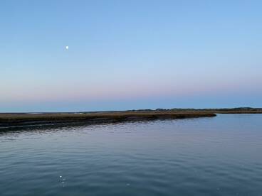 Ocean City Report Photo 2