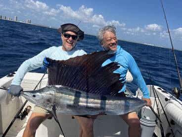 SAILFISH 