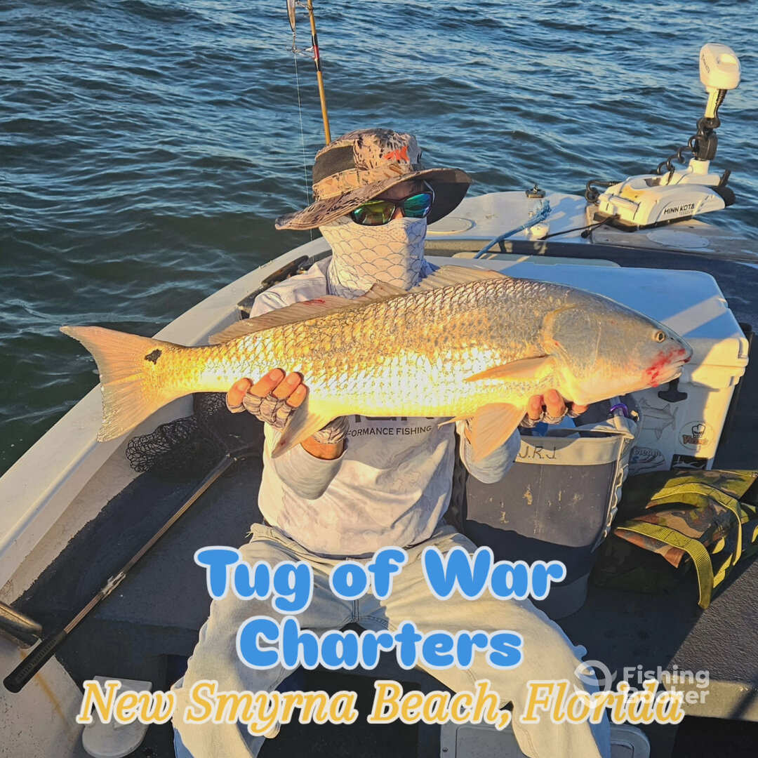 New Smyrna Beach Report Photo 0