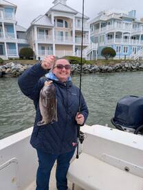 Tog fishing is still going great 