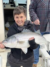 Saugerties Report Photo 1