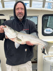 Saugerties Report Photo 2
