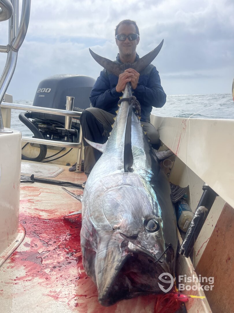 Wanchese Report Photo 0