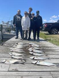 Wanchese Report Photo 2