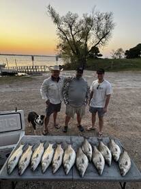 Little Elm Report Photo 2