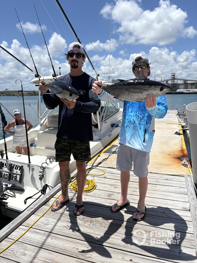 San Juan Report Photo 0