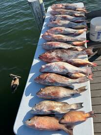 Last few weeks producing limits of Big R