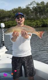 Sarasota Report Photo 1