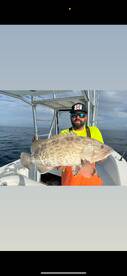 Sarasota Report Photo 2
