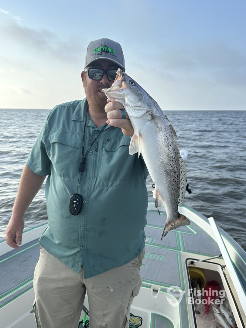 St. Bernard Report Photo 0