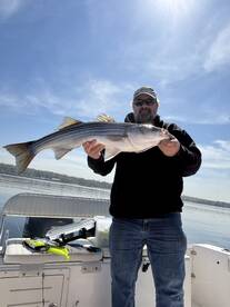 Spring Striper run is kicking off