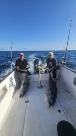 Ponta Delgada Report Photo 1