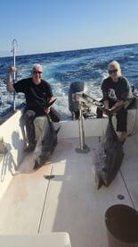 Ponta Delgada Report Photo 2