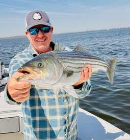 Awesome Striped Bass Live Lining