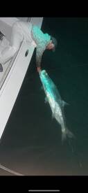 Boca Grande Report Photo 1