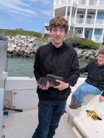 Tog fishing still going on 