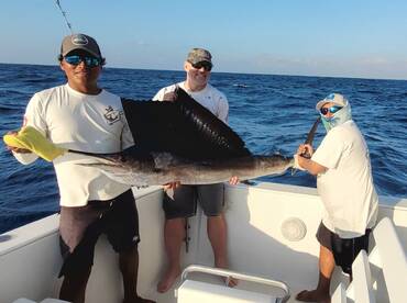 Sailfish released