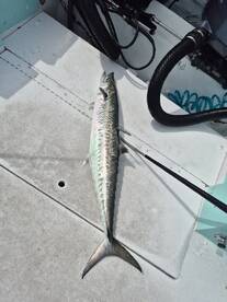 Destin Report Photo 2