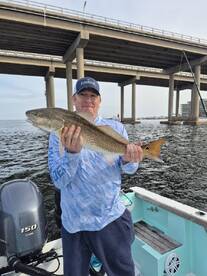 Destin Report Photo 2