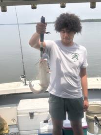 King George Report Photo 2