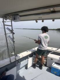 King George Report Photo 3