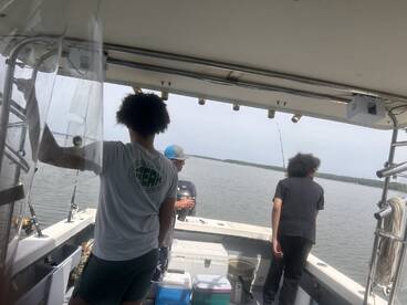 King George Report Photo 1