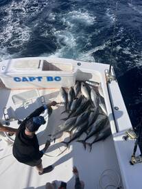 Nags Head Report Photo 1