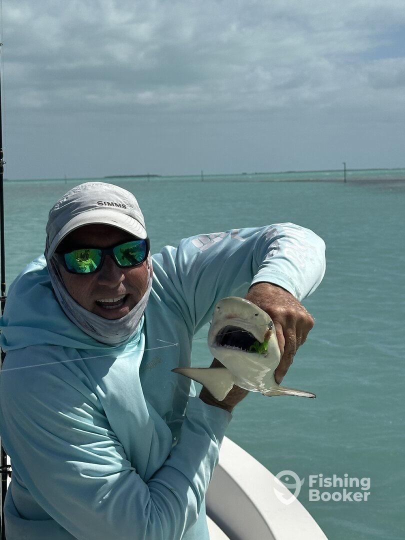 Islamorada Report Photo 0