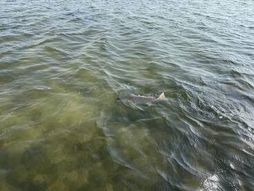 Corpus Christi Report Photo 2