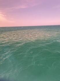 Wanchese Report Photo 2