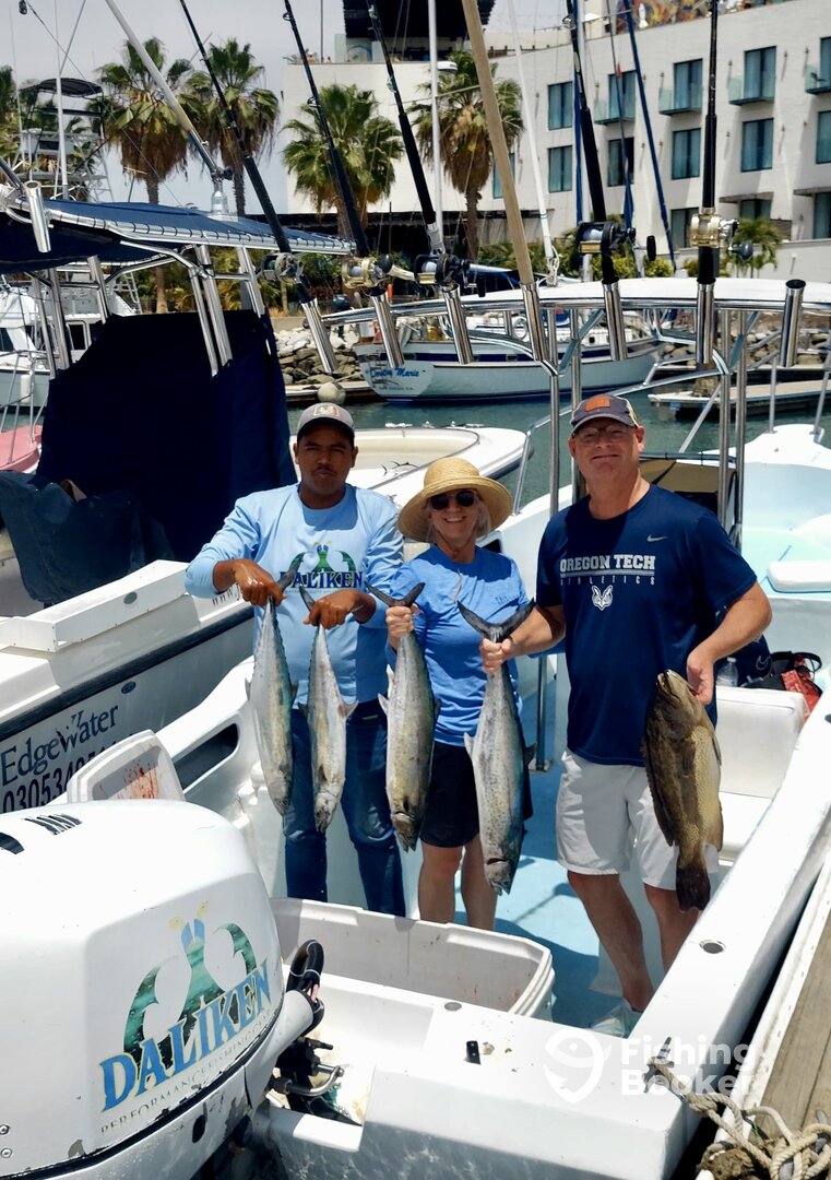 San Jose del Cabo Report Photo 0