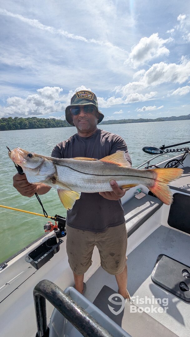 Gamboa Report Photo 0