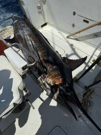 Santa Maria Report Photo 4