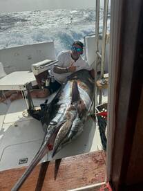 Santa Maria Report Photo 1