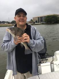 Houston Report Photo 2