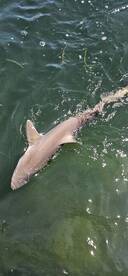 Great action on the flats. 