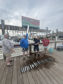 Carolina Beach Report Photo 2