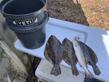 Jacksonville Report Photo 2