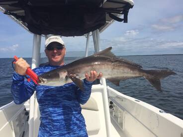 Cobia bite has been hot.