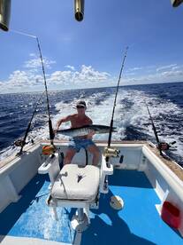 Dominicus Report Photo 2