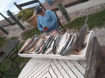 Ruskin Report Photo 2